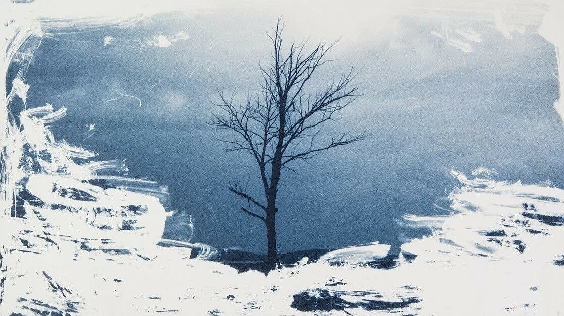 ДА БУДЕТ ЦВЕТ