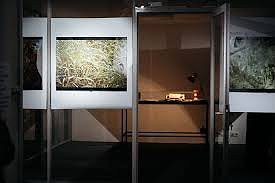 И МОЙ СУРОК СО МНОЮ