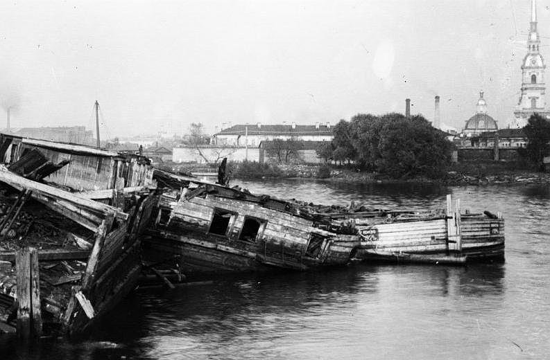 КАК ЗОЩЕНКО ВИДЕЛ НАВОДНЕНИЕ