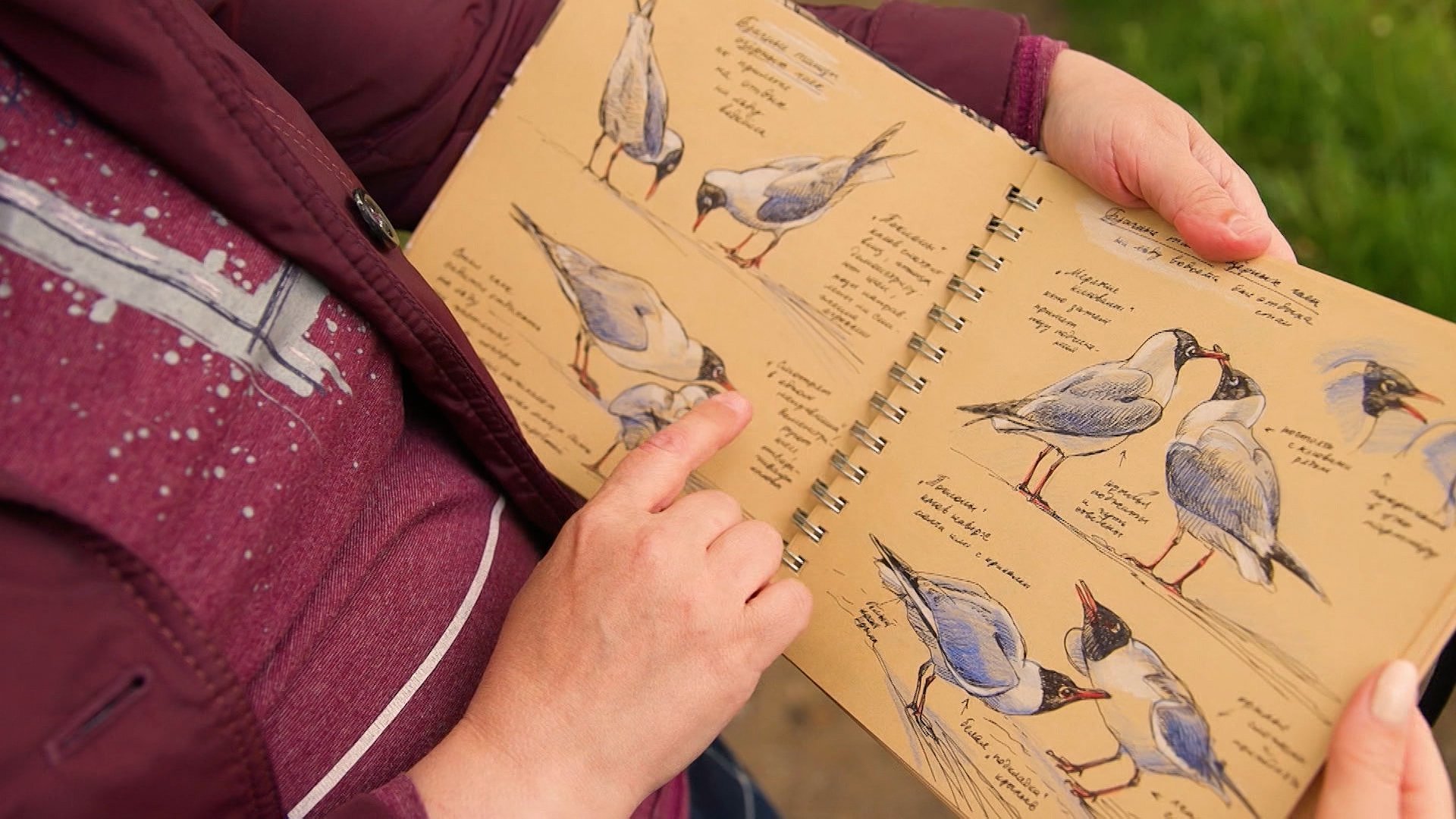 ПЕРНАТЫЙ БЛОКНОТ