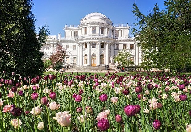 ТЮЛЬПАНЫ, ОТДОХНОВЕНИЕ ДУШИ