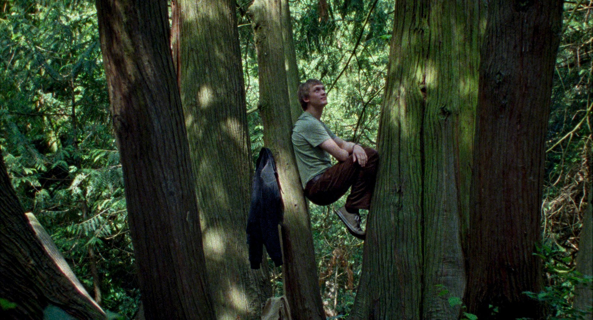 ЖИЗНЬ ГЛАЗАМИ ДЕРЕВА